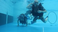 IMG_0006.jpg